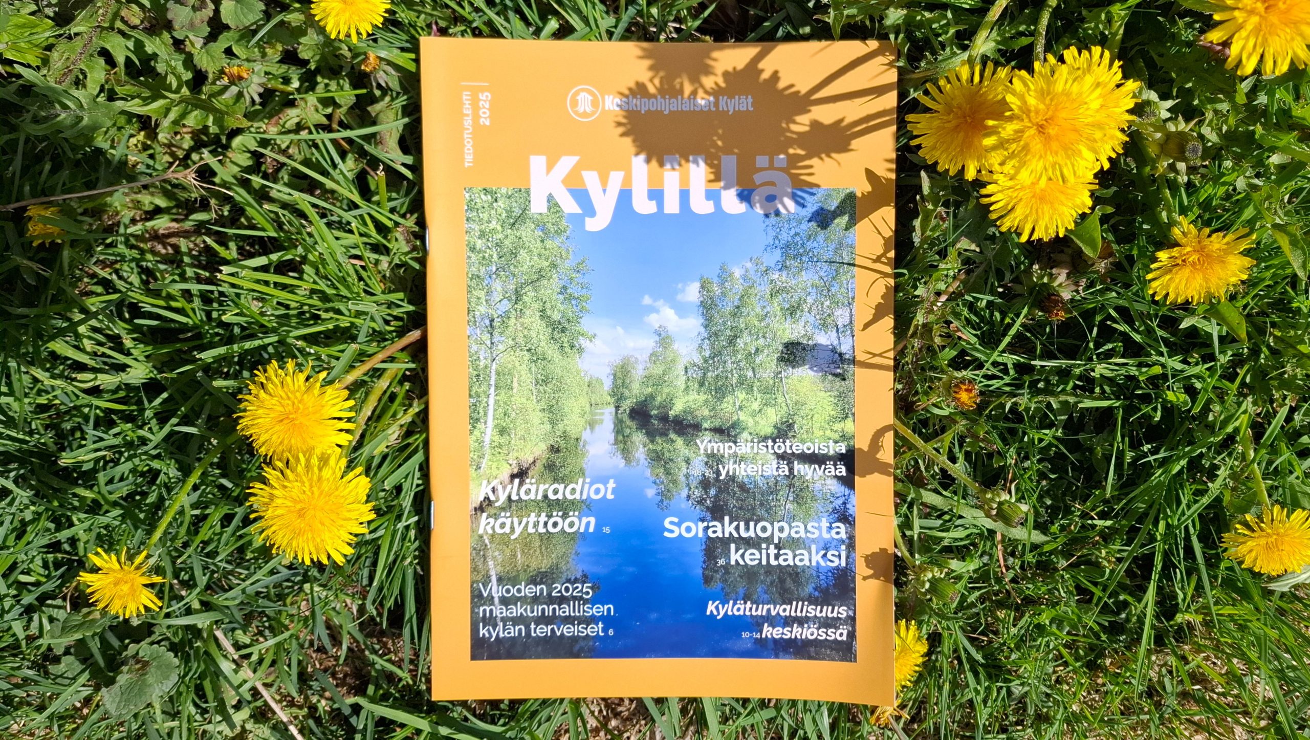 Tiedotuslehti voikukkaniityllä